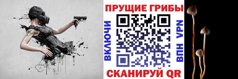 МЕГА как войти  Верхнеуральск  Галлюциногенные грибы мицелий 